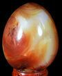 Colorful Carnelian Agate Egg #55532-1